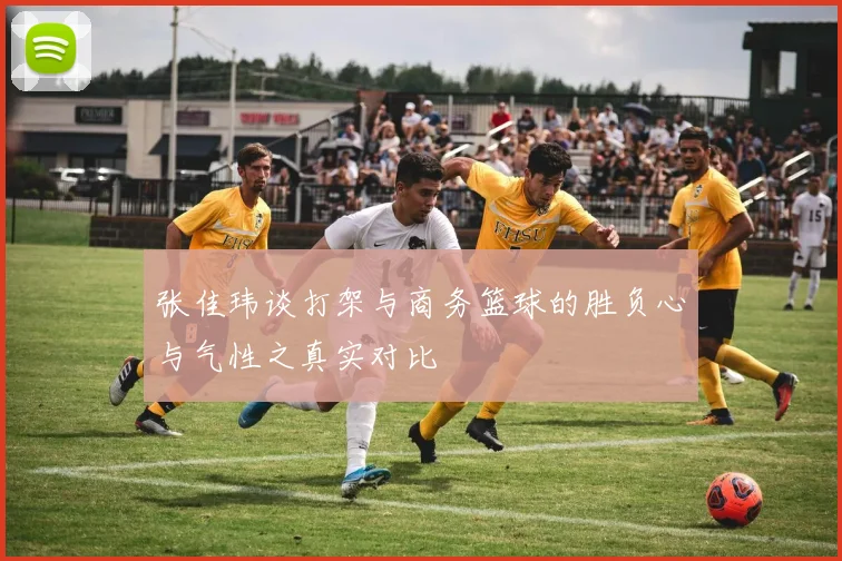 张佳玮谈打架与商务篮球的胜负心与气性之真实对比